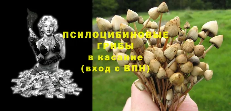 даркнет формула  Кыштым  Галлюциногенные грибы Magic Shrooms 